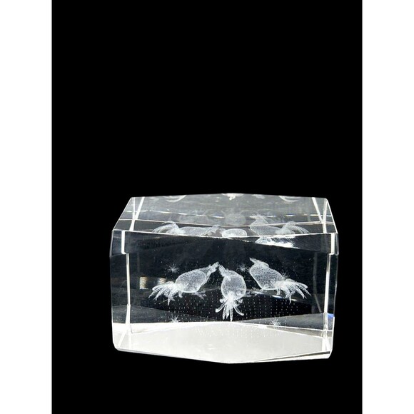 3D Laser Etched Crystal Cube 2 Roosters And Chick Decorative Paperweight 3"x2" - Picture 4 of 9